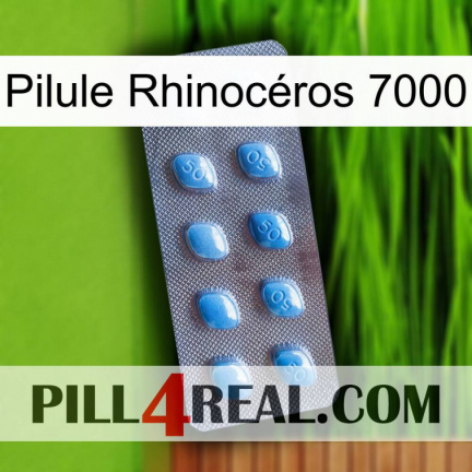 Pilule Rhinocéros 7000 viagra3